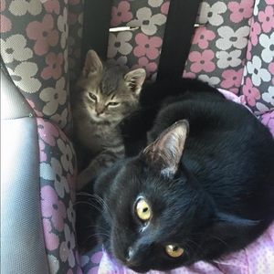 Meet your Posher, Kerri